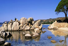 关于浓眉哥在RNG比赛中战术调整，败北引发热议！的信息